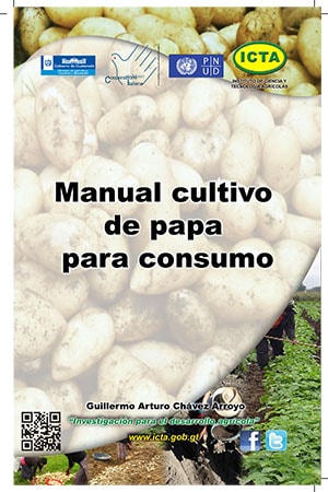 Manual cultivo de papa para consumo, manejo agronómico, variedades comerciales